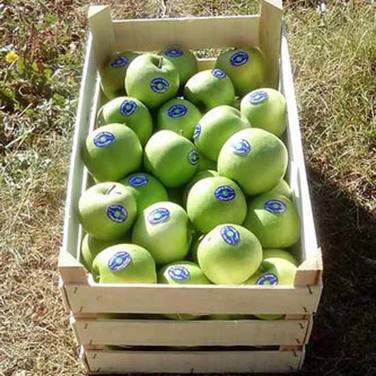 Bild von Granny Smith