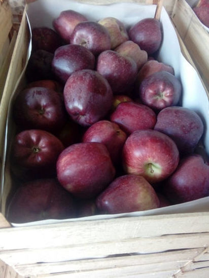 Afbeeldingen van Apples