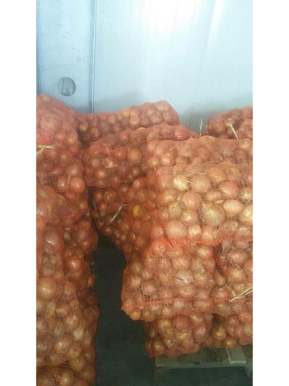 تصویر کا Onion