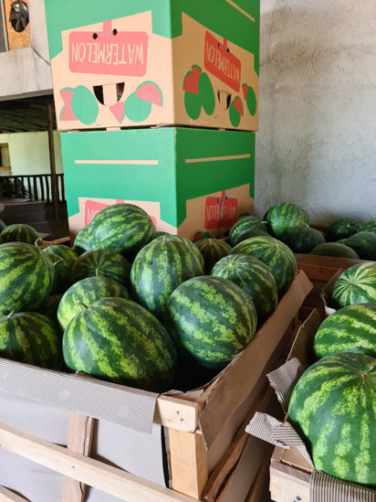 Afbeeldingen van Watermelon