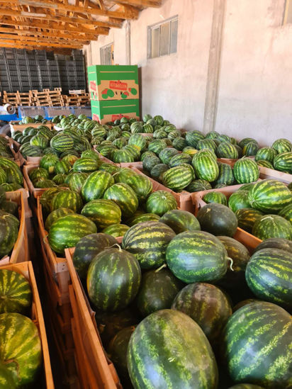 Afbeeldingen van Watermelon