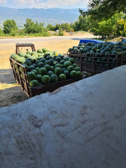 Afbeeldingen van Watermelon