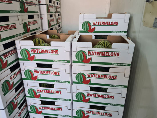 Obrázok z Watermelon