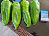 صورة Green Peppers
