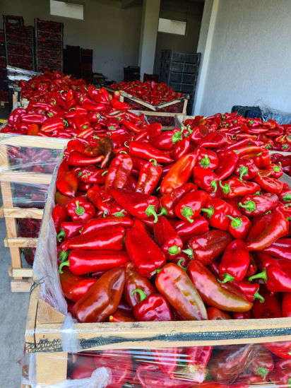 Imagem de Red Peppers