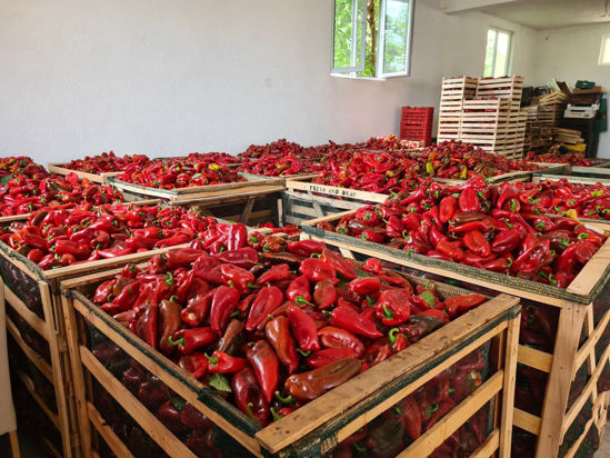 Снимка на Red Peppers