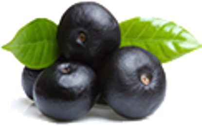 รูปภาพของ Organic Blackberry