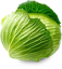 รูปภาพของ Organic Cabbage