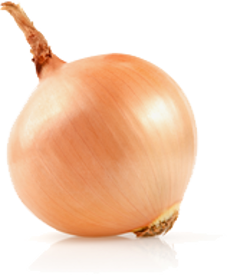 图片 Organic Onion